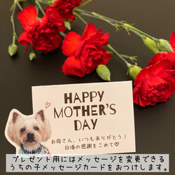 うちの子トートバッグ 2way ショルダーバッグ 散歩バッグ 写真 犬 オーダーメイド 名入れ 9枚目の画像