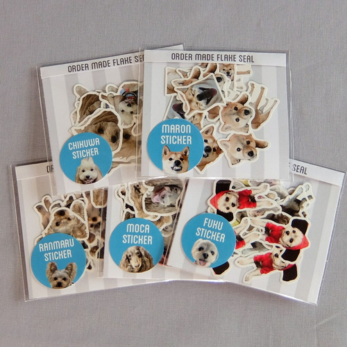 うちの子フレークシール 犬 猫 うさぎ 写真 オーダーメイド 名入れ