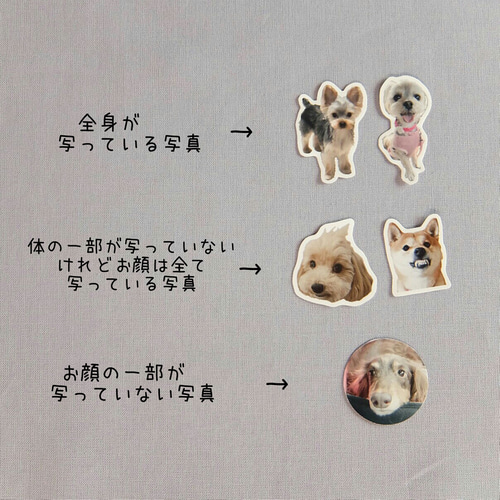 うちの子フレークシール 犬 猫 うさぎ 写真 オーダーメイド 名入れ 