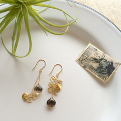 smokey&beer. champagne  quartz (earrings) 第1張的照片