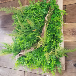 送料込 流木 約50×60cm 流木枠 フェイクグリーン ウォールグリーン 壁面緑化 シダ アジアンタム 苔 造花 壁掛 1枚目の画像
