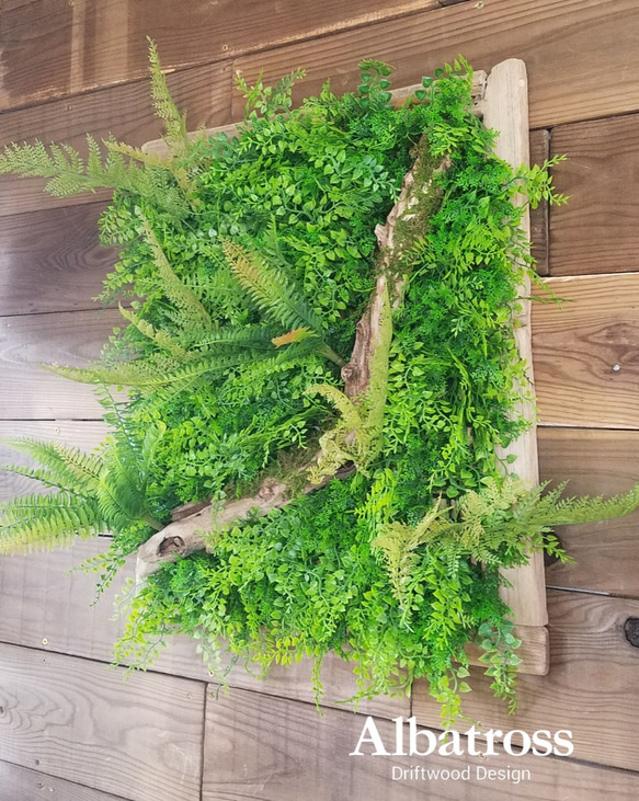 送料込 流木 約50×60cm 流木枠 フェイクグリーン ウォールグリーン 壁面緑化 シダ アジアンタム 苔 造花 壁掛 1枚目の画像