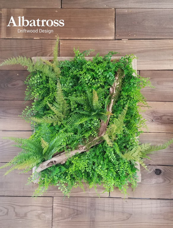 送料込 流木 約50×60cm 流木枠 フェイクグリーン ウォールグリーン 壁面緑化 シダ アジアンタム 苔 造花 壁掛 3枚目の画像
