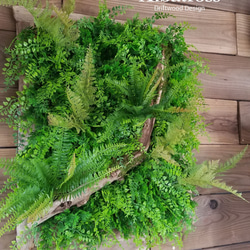 送料込 流木 約50×60cm 流木枠 フェイクグリーン ウォールグリーン 壁面緑化 シダ アジアンタム 苔 造花 壁掛 4枚目の画像