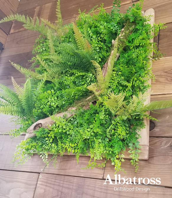 送料込 流木 約50×60cm 流木枠 フェイクグリーン ウォールグリーン 壁面緑化 シダ アジアンタム 苔 造花 壁掛 5枚目の画像