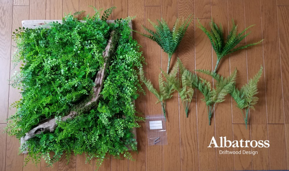 送料込 流木 約50×60cm 流木枠 フェイクグリーン ウォールグリーン 壁面緑化 シダ アジアンタム 苔 造花 壁掛 8枚目の画像