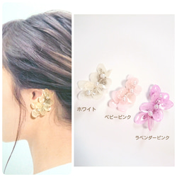 【3Color】本物のお花♡あじさい満開イヤーカフ♡3種類　ホワイト・ピンク・パープル　浴衣 1枚目の画像