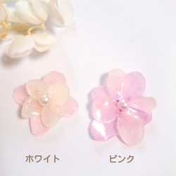 本物のお花♡紫陽花（あじさい）のフラワーイヤリング／ピアス♡2種類 ピンク・ホワイト 2枚目の画像