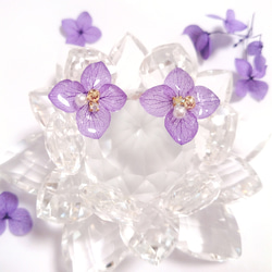 本物のお花♡紫陽花（あじさい）のフラワーイヤリング／ピアス♡パープル 紫 2枚目の画像