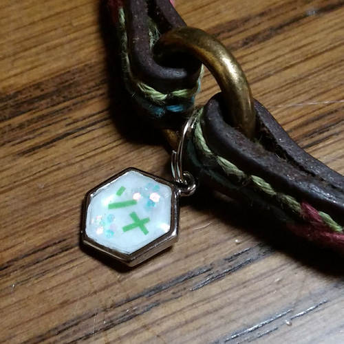 カラフルステッチ犬用本革チョーカーとちっちゃなキラキラ迷子札