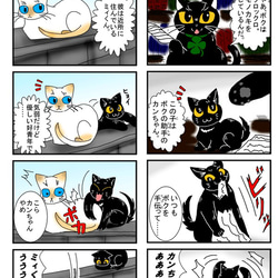 黒ねこカンちゃん四コマ劇場（展示） 1枚目の画像
