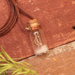 小瓶子裡的月亮項鍊 第1張的照片