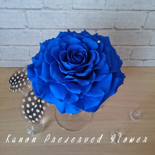 プリザーブドフラワー】エレガントメリア ブルー プリザーブドフラワー