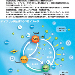  第5張的照片