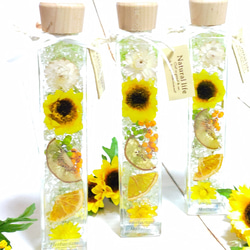 ハーバリウムボールペン用替芯【日本製】 ペン・筆記用具 M's
