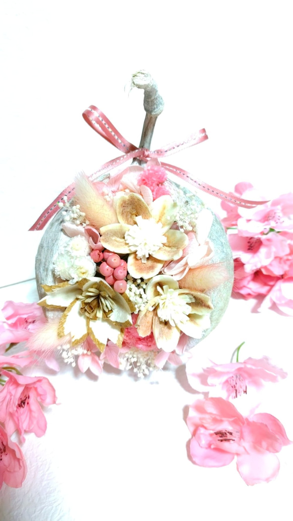 再販×3  桜 香る※。.:*:・'° ｢春色～桜～｣  ブッダナッツ※。.:*:・'° 合格のお祝いにも～ 1枚目の画像