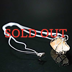 SPRING SUN（春の太陽）"SOLD OUT" 1枚目の画像