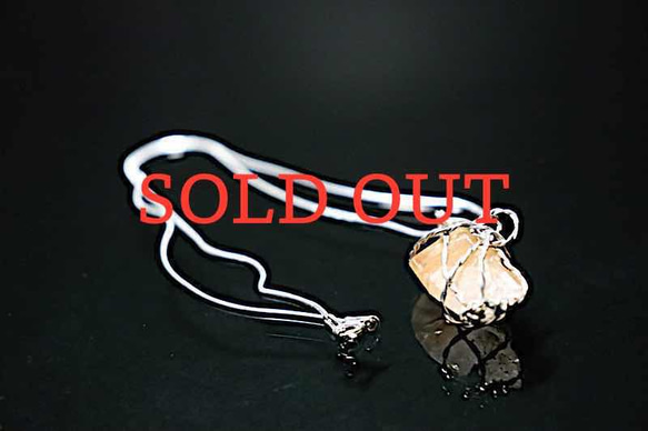 SPRING SUN（春の太陽）"SOLD OUT" 1枚目の画像