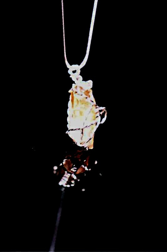 SPRING SUN（春の太陽）"SOLD OUT" 5枚目の画像
