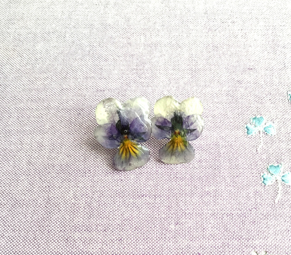 本物のお花  〜ビオラ〜  淡紫スミレ  透き通る様なピアス 1枚目の画像
