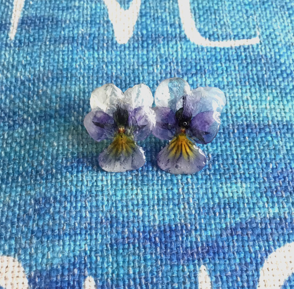 本物のお花  〜ビオラ〜  淡紫スミレ  透き通る様なピアス 2枚目の画像