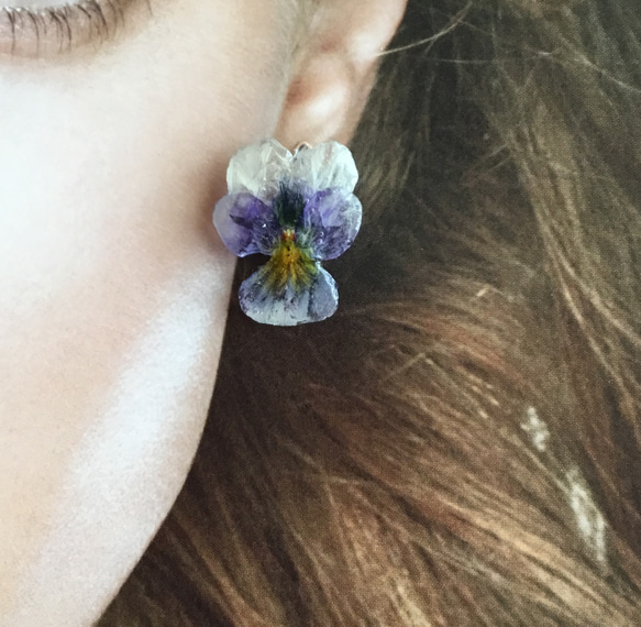 本物のお花  〜ビオラ〜  淡紫スミレ  透き通る様なピアス 3枚目の画像