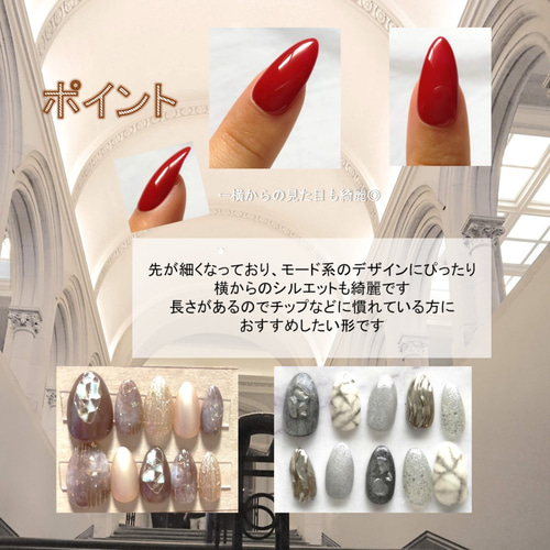 計測用チップ ネイルチップ（つけ爪） giraffe nail 通販 11078682