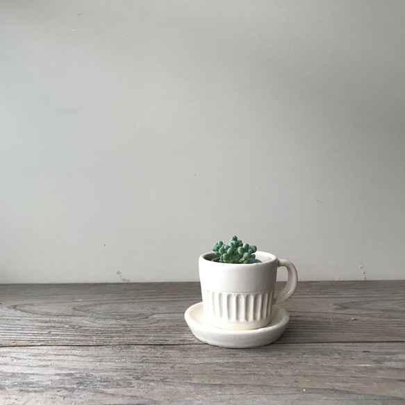 コーヒーカップ 植木鉢 2号 1枚目の画像