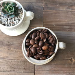カフェオレ 小さな植木鉢 (コーヒーカップ) SS 6枚目の画像