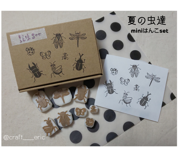 Amazon | セハージャパン 虫ピタ虫V(ファイブ) 屋内用飛来昆虫