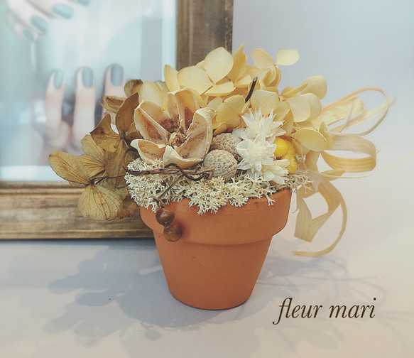 アナベルとアジサイ、実もののアレンジメント ポット小鉢 ドライ  