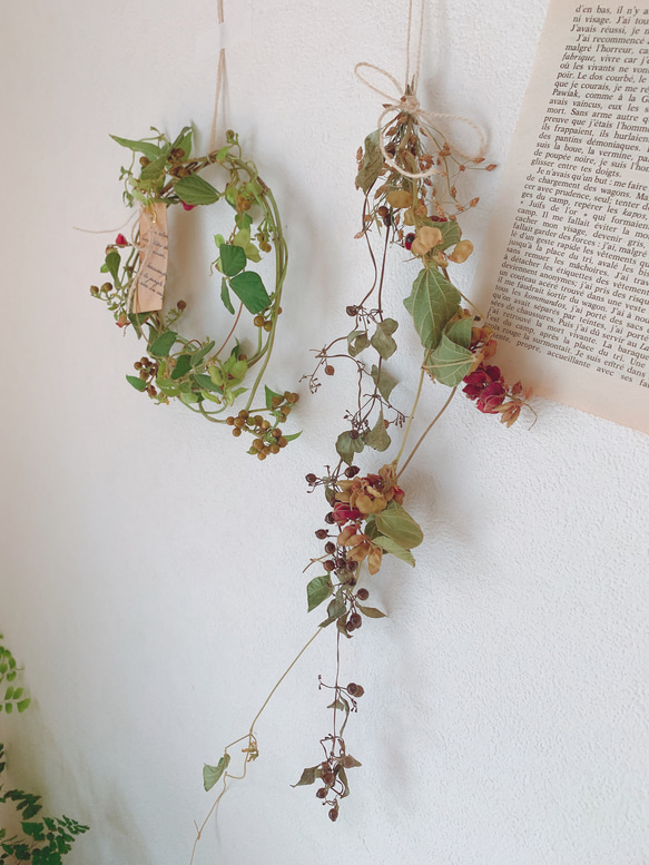 ラグラスと涼やか夏草リース◎23センチ＊ドライフラワーリース ラグラスと涼やか夏草リース◎23センチ＊ドライフラワーリース