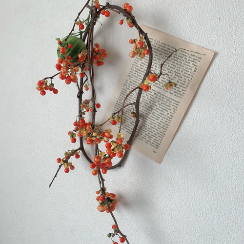 ドライフラワー❇️紅ヅル オリジナルリース用❣️ ドライフラワー❇️紅ヅル❣️オリジナルリース用