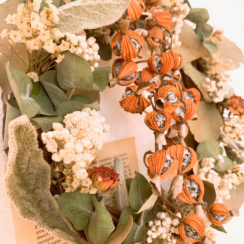 ユーカリとアネモネのフライングリース　ドライフラワーリース 【25408】 ❅꙳アネモネのフライングリース⠀ ⠀⠀ 久しぶりのフライングリース