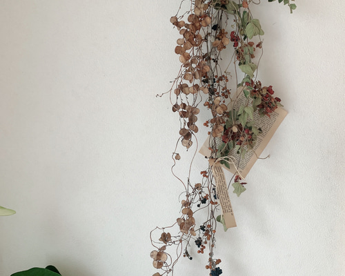 0_af586b17b32c1a58ef760151376b