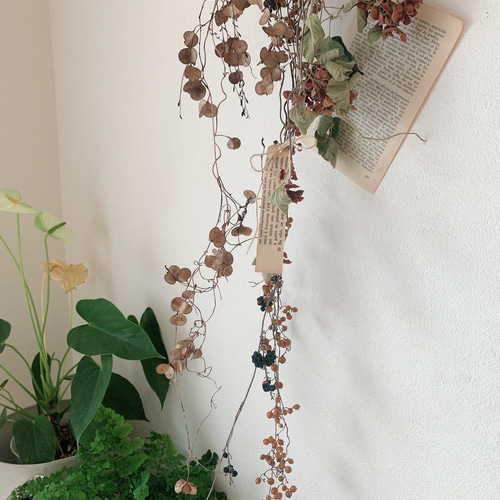 ドライフラワー 秋の山の蔓のスワッグ スワッグ 葉つみ 通販 10760241