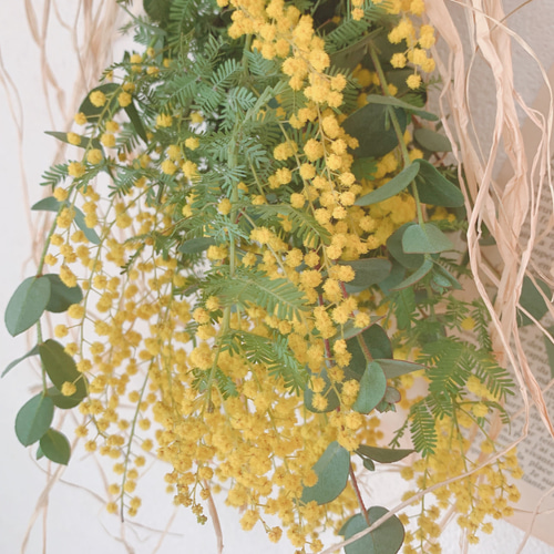 ドライフラワー ふわふわ黄色の綺麗なミモザとユーカリのスワッグ