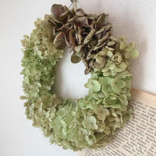 ドライフラワー アナベルと秋色紫陽花のシンプルリース リース 葉つみ