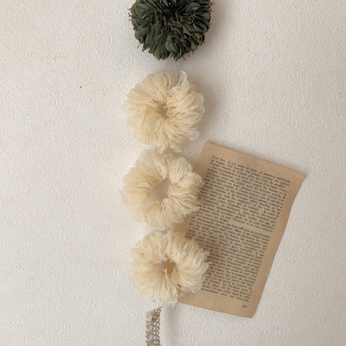 ドライフラワー グニーユーカリのリースとルナリアの外皮のリースの