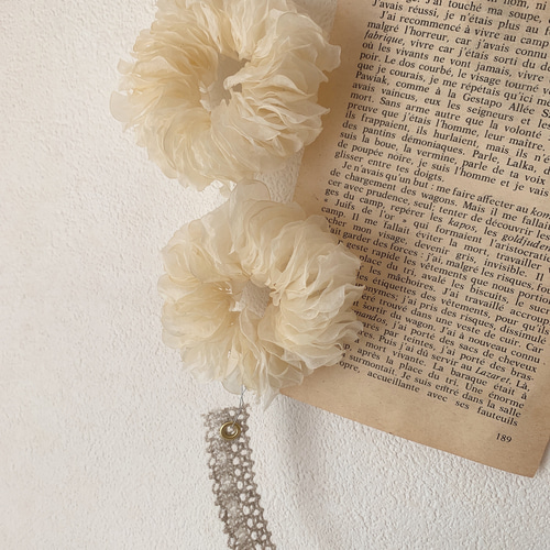 ドライフラワー グニーユーカリのリースとルナリアの外皮のリースの