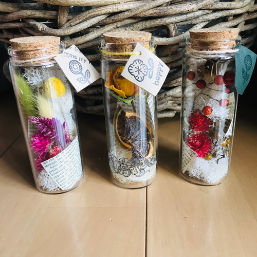 ドライフラワー 瓶詰め3本セット ハーバリウム・植物標本 葉つみ