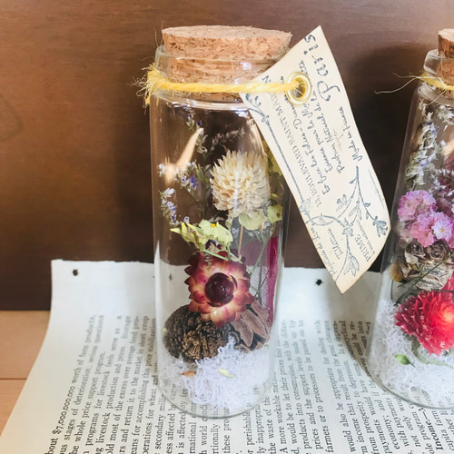 deuxRドライフラワー ハーバリウム 3本セット植物標本ボタニカルボトル 楽天市場】プリザーブドフラワー ハーバリウム Herbarium ドライ
