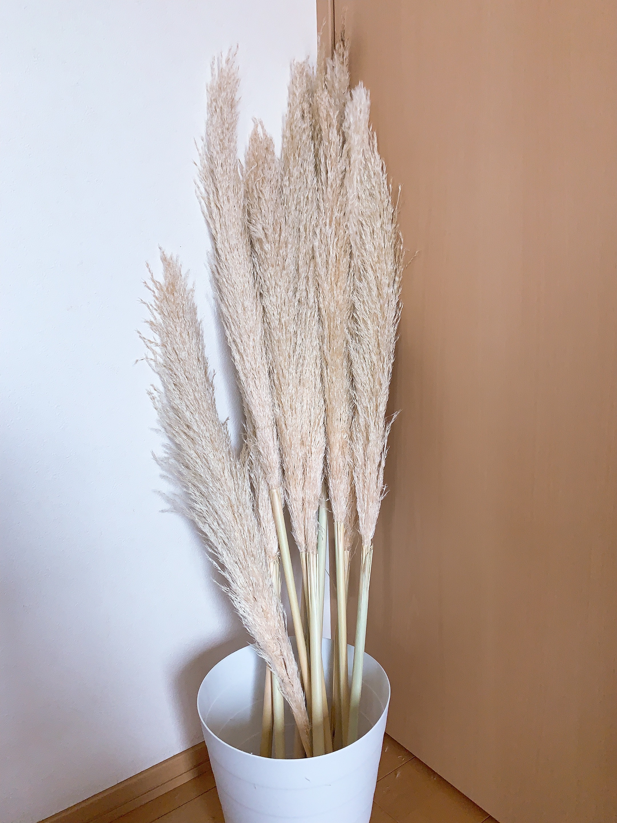 専用＊ Jumbo bottleドライフラワーボトル　 パンパスツリー 専用＊ Jumbo bottleドライフラワーボトル パンパスツリー MILK