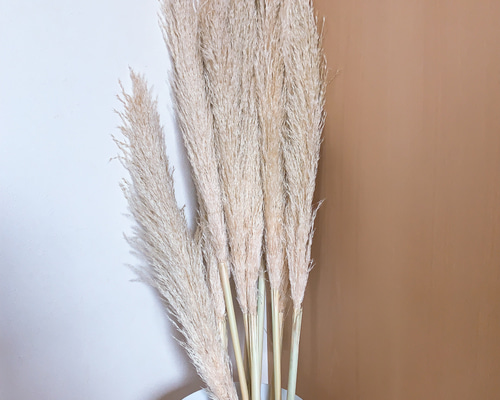 0_ddca56d5c5a557f71dcffc3b35c9