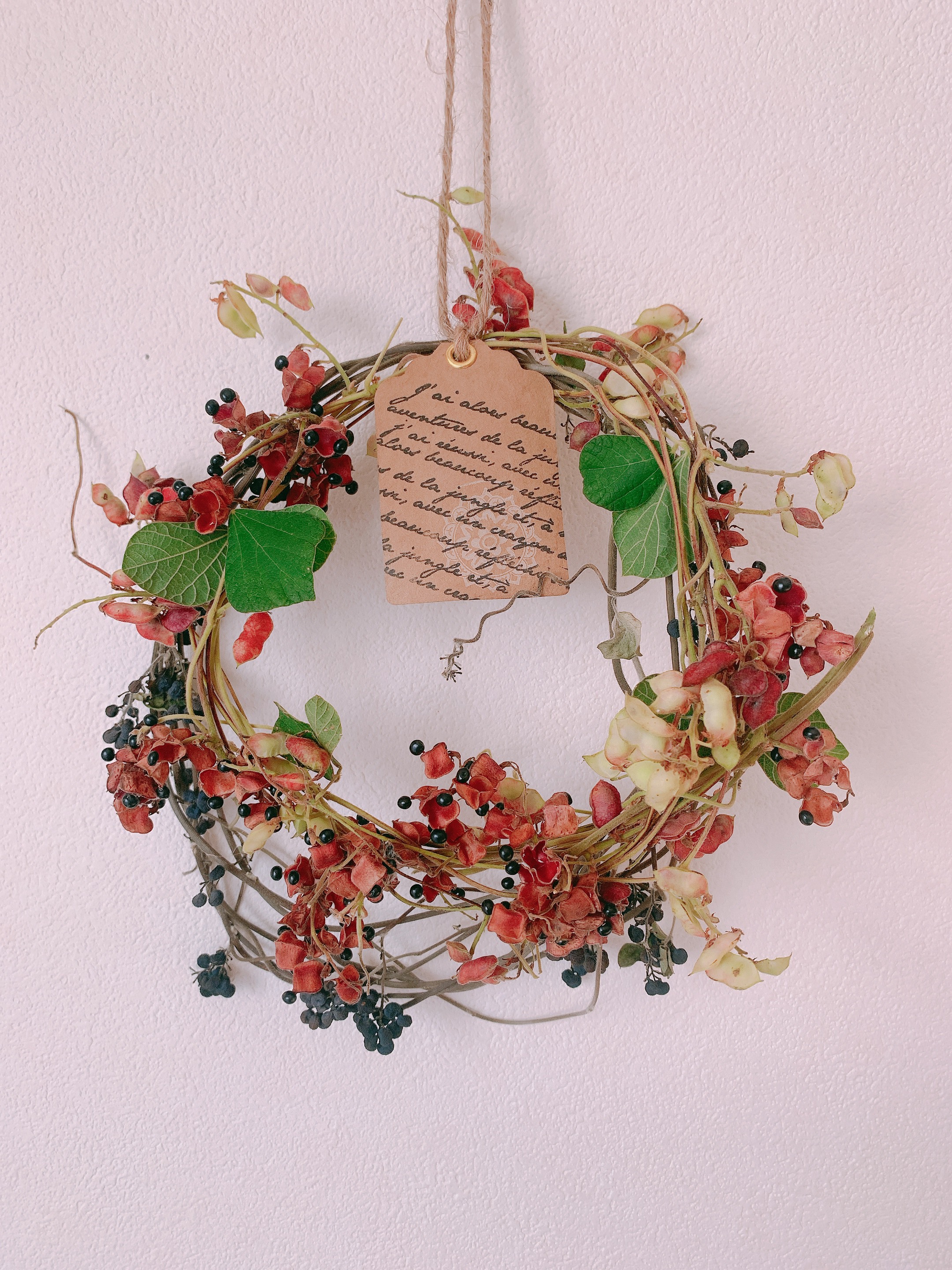 ドライフラワー 山葡萄とタンキリマメの二重のリース リース 葉つみ  