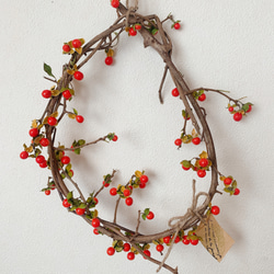 ドライフラワー ツルウメモドキのリース リース 葉つみ 通販 8132028