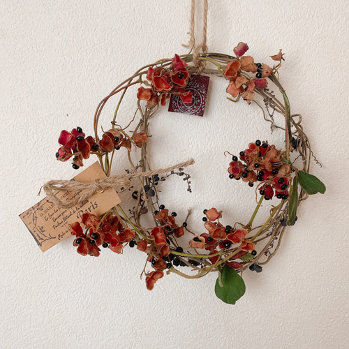 ドライフラワー 山葡萄とタンキリマメのリース リース 葉つみ 通販