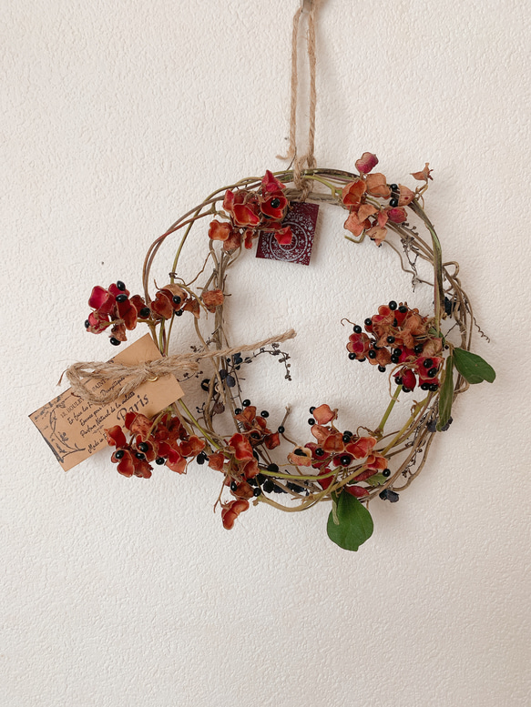 葡萄色のハーフリース ドライフラワー 野葡萄の蔓が踊る紫達のリース