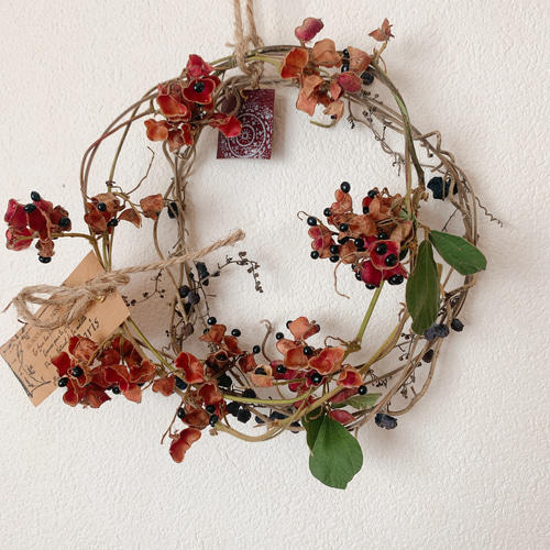 現品　ノグルミ　リース　ドライフラワーなど　特大苗　2.5mほど　山採り 現品 ノグルミ リース ドライフラワーなど 特大苗 2.5mほど 山採り