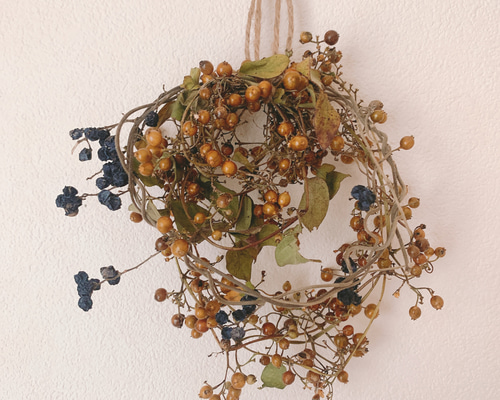 0_e0f298fbdea128fc9cf315c521b2